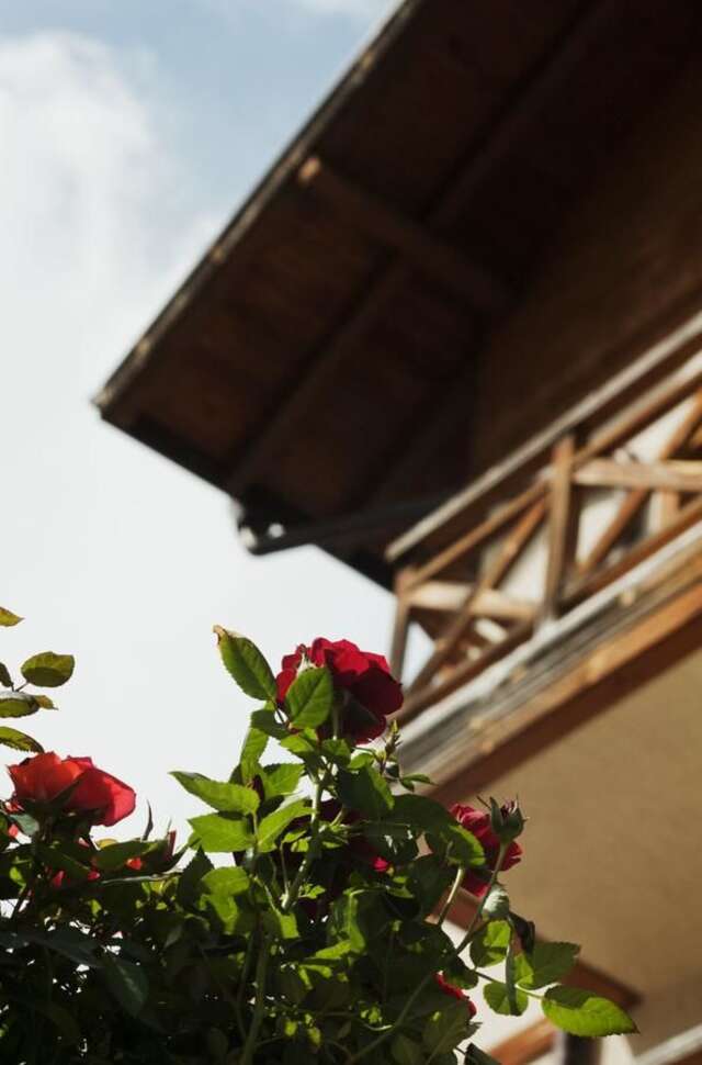 Отель Pirina Club Hotel Банско-46
